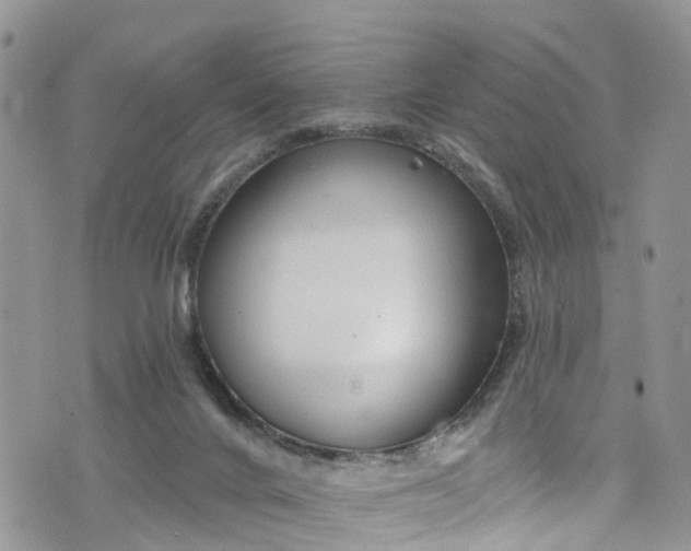 X0000076400024200610161216