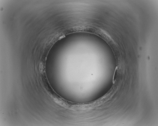 X0000076400025200610161216