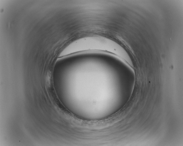 X0000076400026200610161216