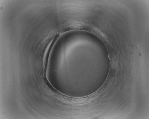 X0000076400027200610161216