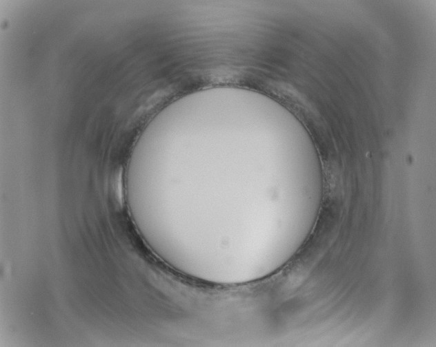 X0000076400028200610161216