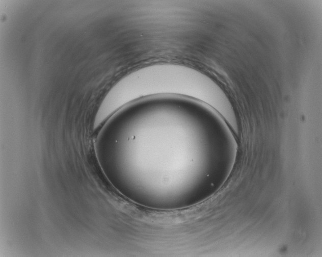 X0000076400029200610161216