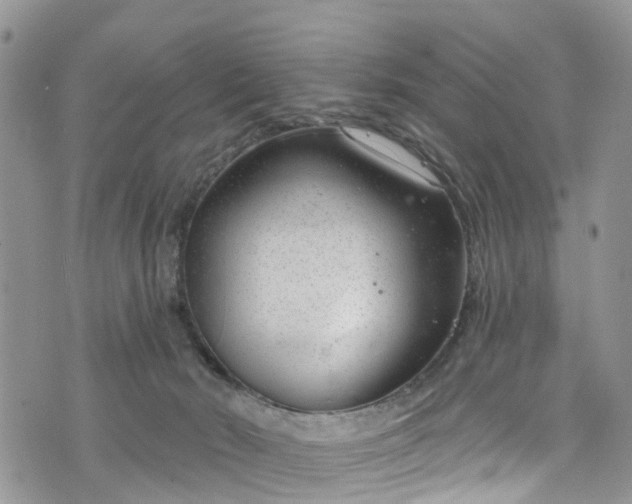 X0000076400030200610161216