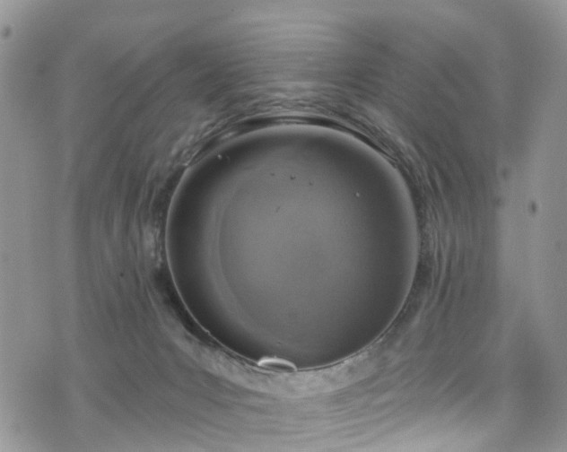 X0000076400031200610161216