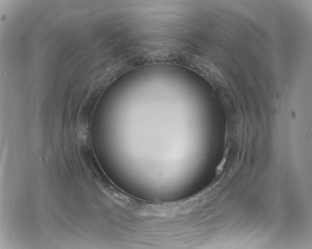 X0000076400033200610161216