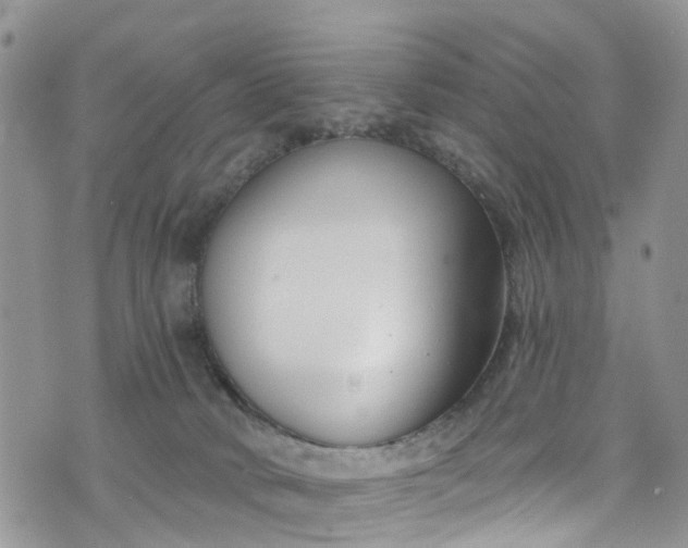 X0000076400034200610161216