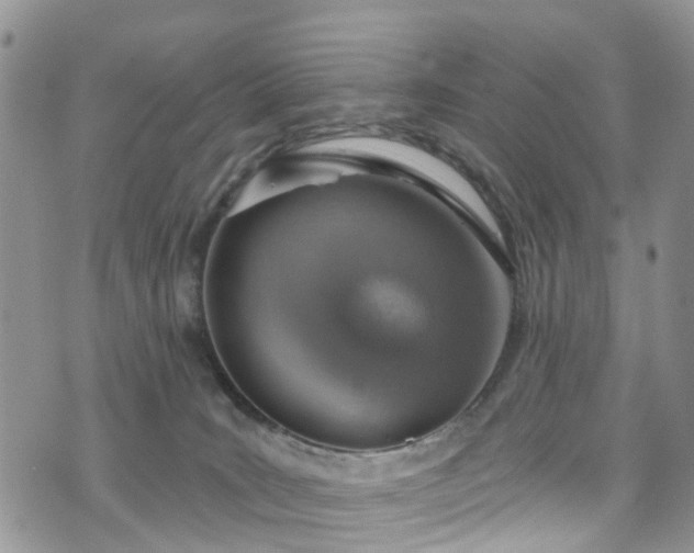 X0000076400035200610161216