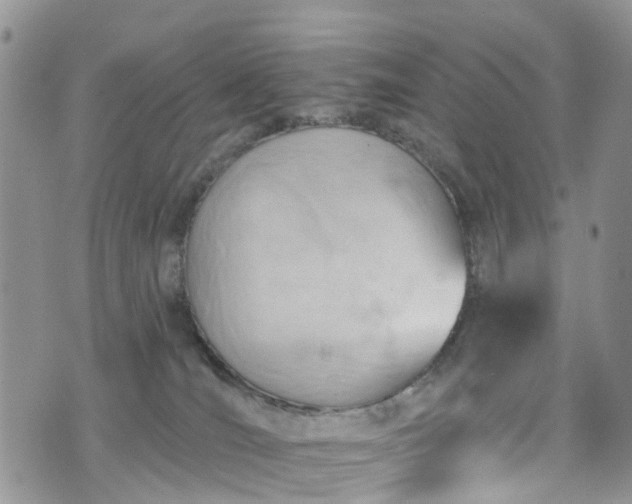 X0000076400036200610161216