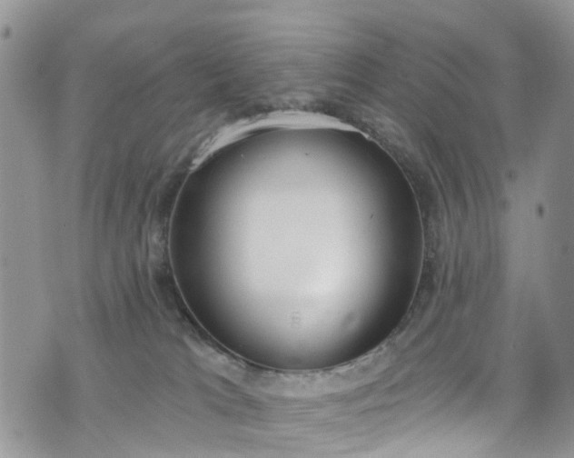 X0000076400037200610161216