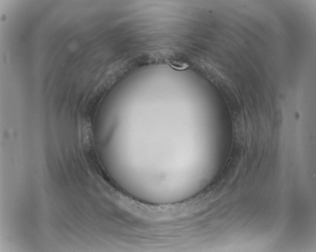 X0000076400038200610161216