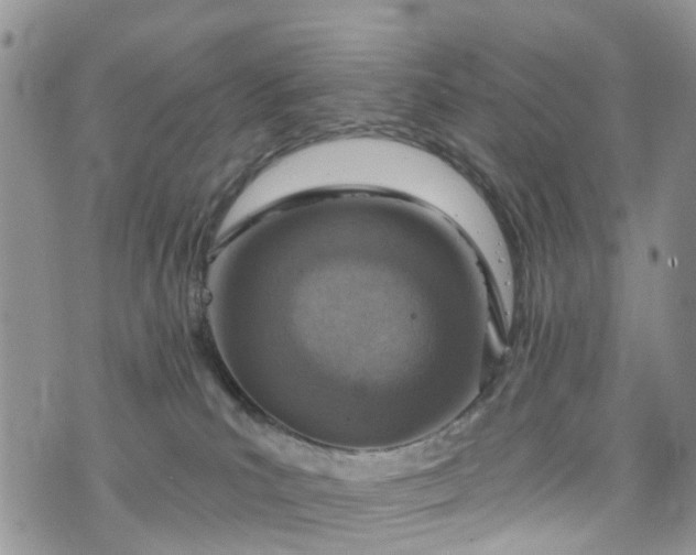 X0000076400039200610161216