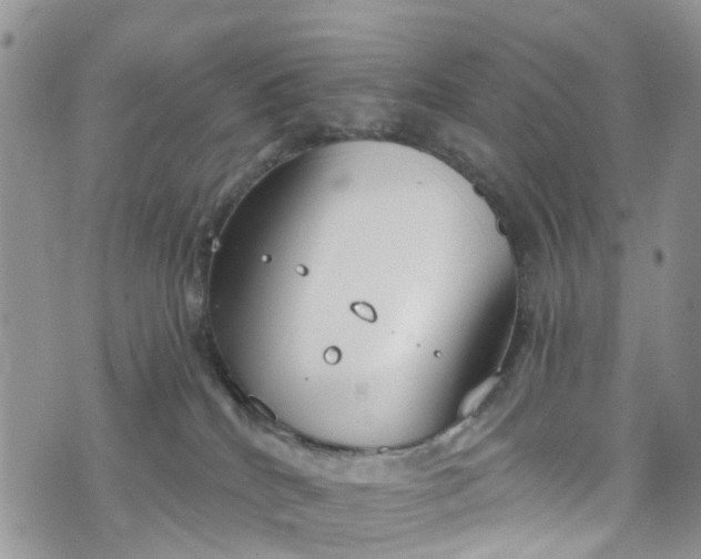 X0000076400040200610161216