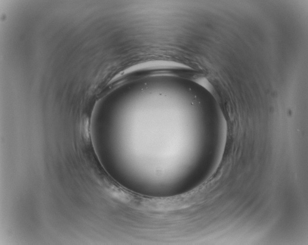 X0000076400041200610161216