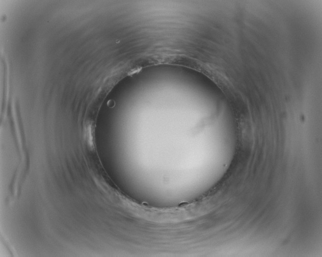 X0000076400042200610161216