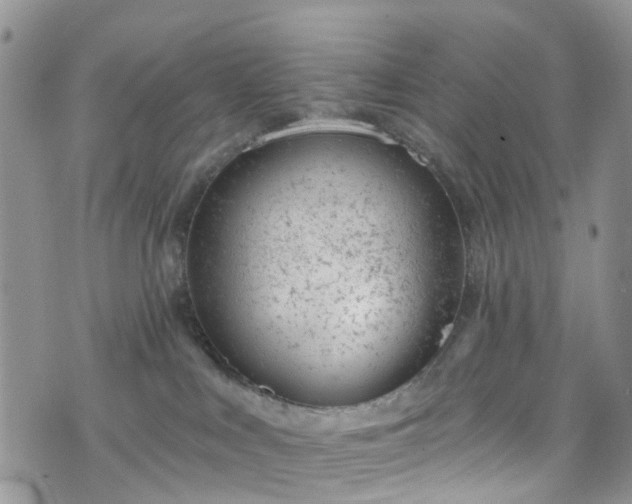 X0000076400043200610161216