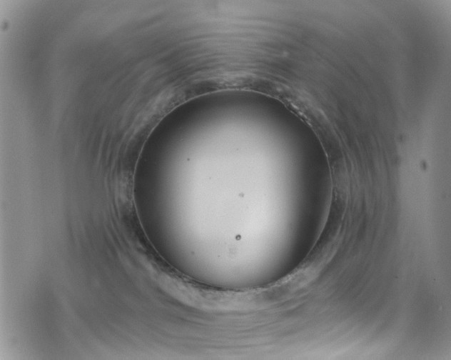 X0000076400044200610161216