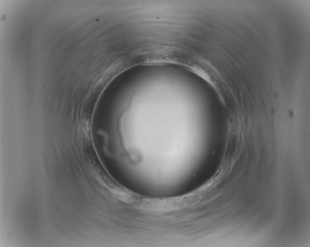 X0000076400045200610161216