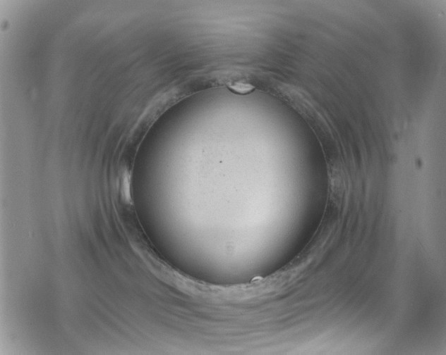 X0000076400046200610161216