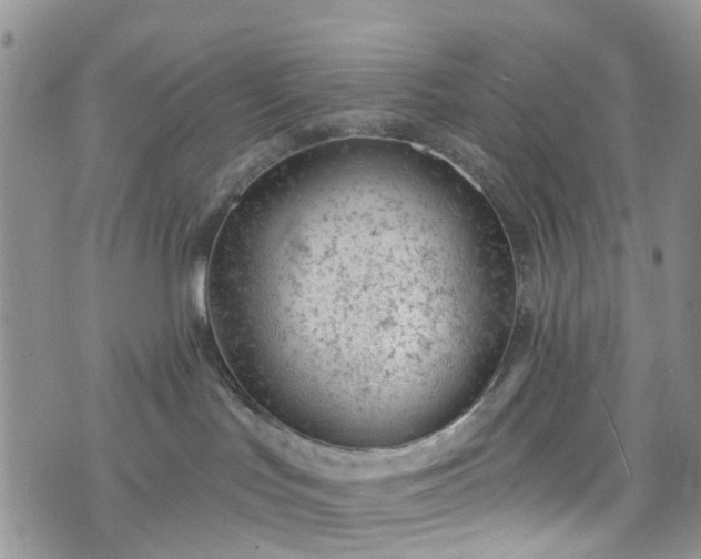 X0000076400047200610161216