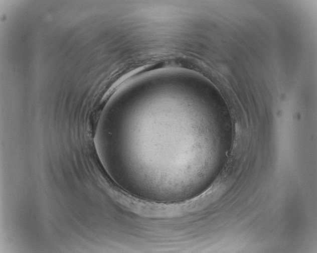 X0000076400048200610161216