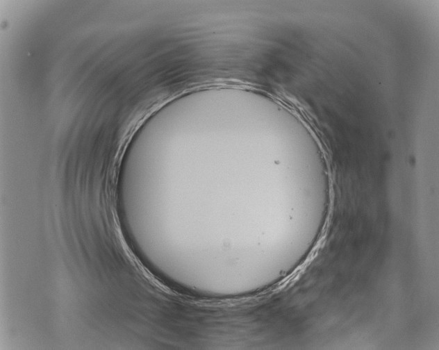 X0000076400049200610161215