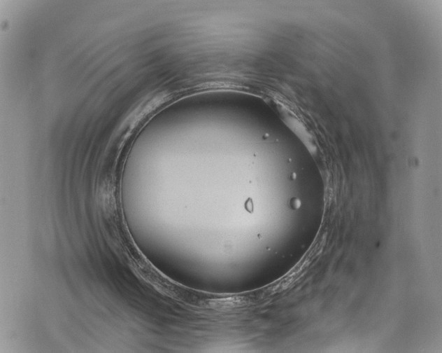 X0000076400050200610161215