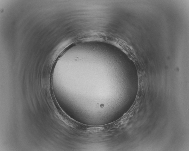 X0000076400051200610161215