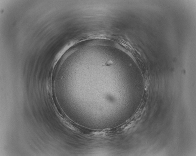 X0000076400052200610161215