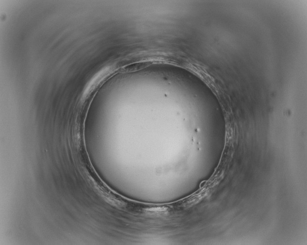 X0000076400053200610161215