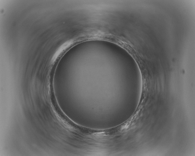 X0000076400054200610161215