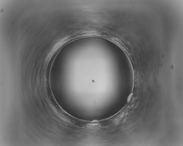 X0000076400055200610161215