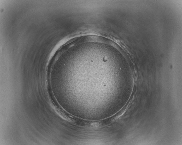 X0000076400056200610161215