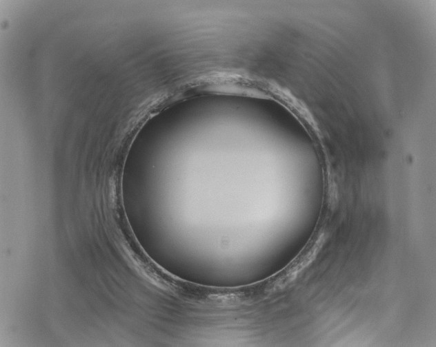 X0000076400057200610161215