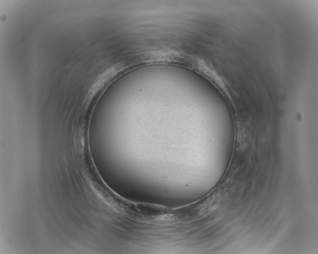 X0000076400059200610161215