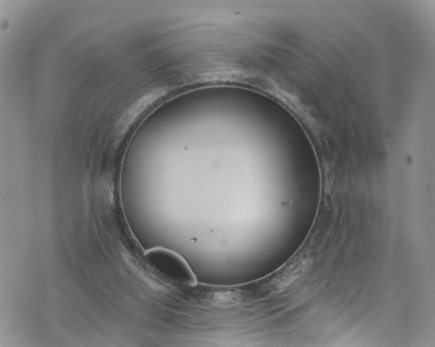 X0000076400060200610161215