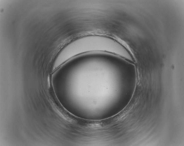 X0000076400061200610161215