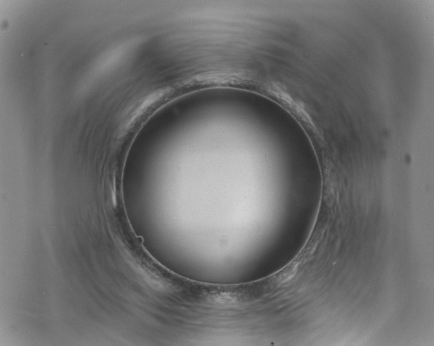 X0000076400062200610161215