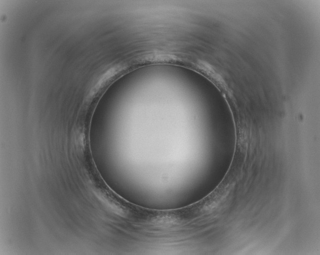 X0000076400063200610161215