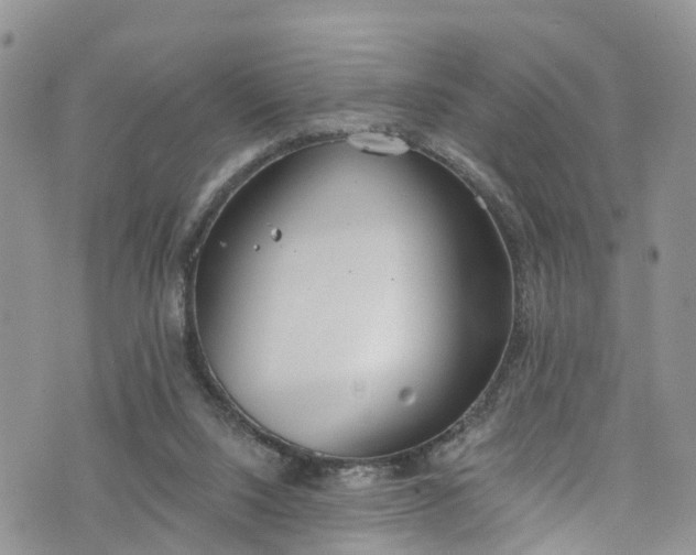 X0000076400064200610161215