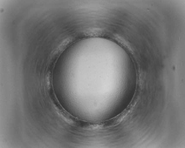 X0000076400065200610161215