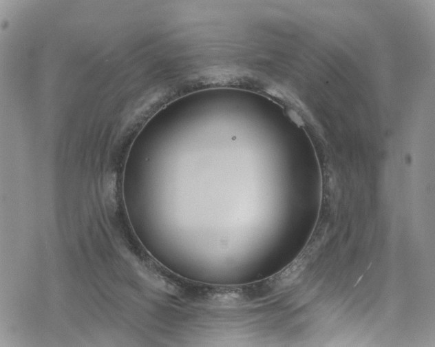 X0000076400066200610161215