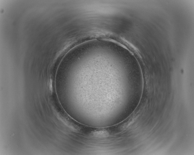 X0000076400067200610161215