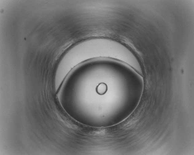 X0000076400068200610161215