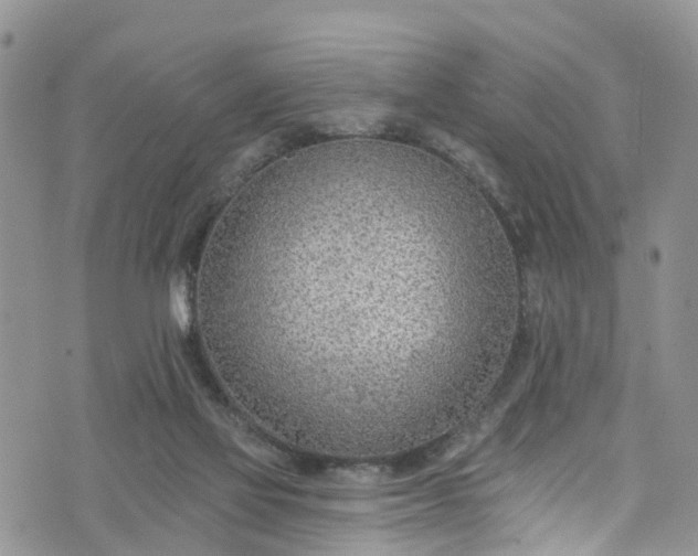 X0000076400069200610161215