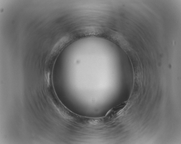 X0000076400070200610161215