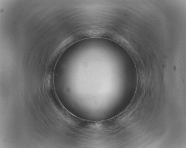 X0000076400071200610161215