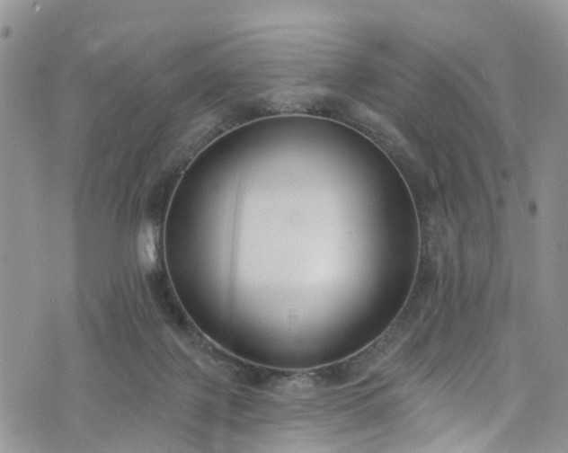 X0000076400075200610161215