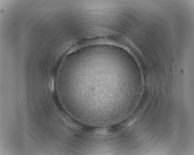 X0000076400076200610161215