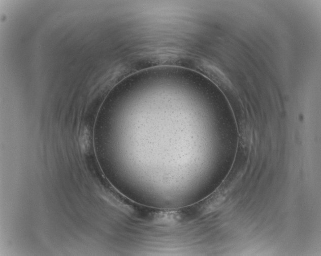 X0000076400077200610161216