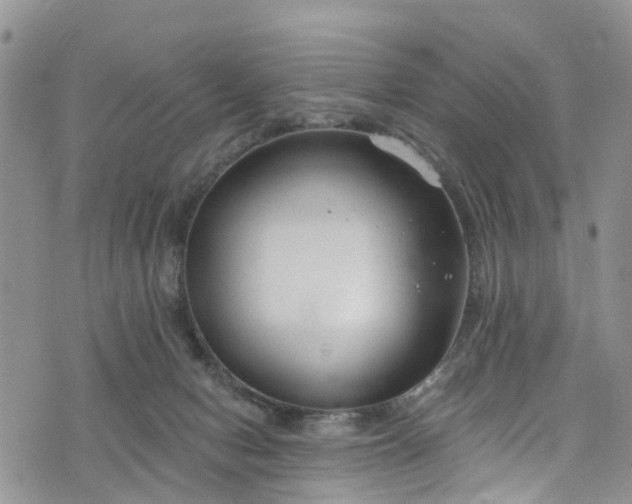 X0000076400078200610161216